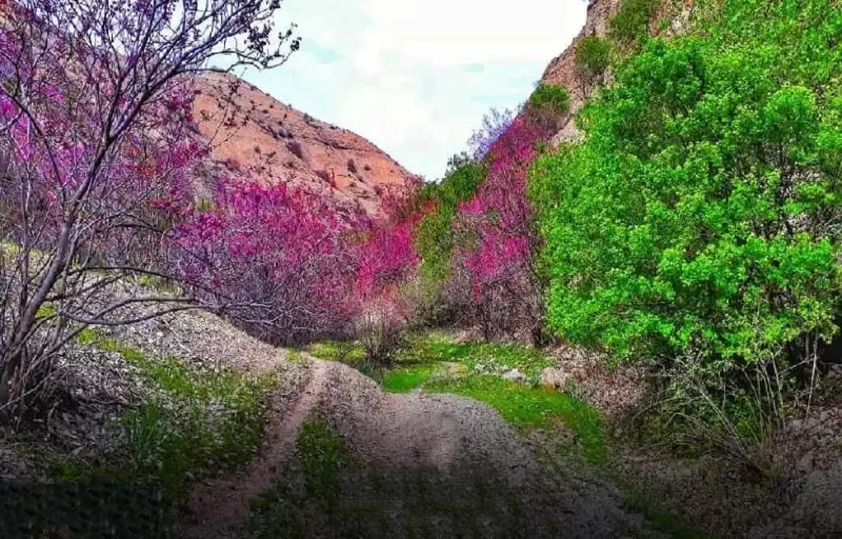 دره ارغوان مشهد؛ جایی که هر لحظه احساس شادی میکنی!