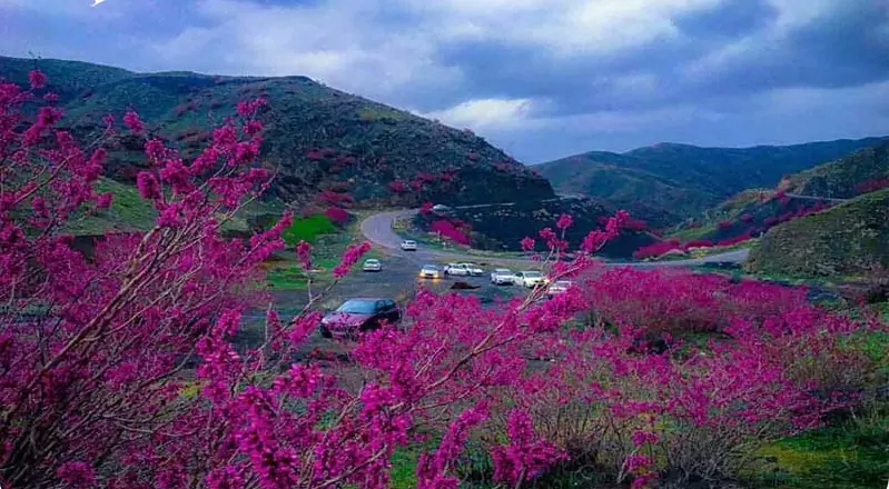 دره ارغوان مشهد