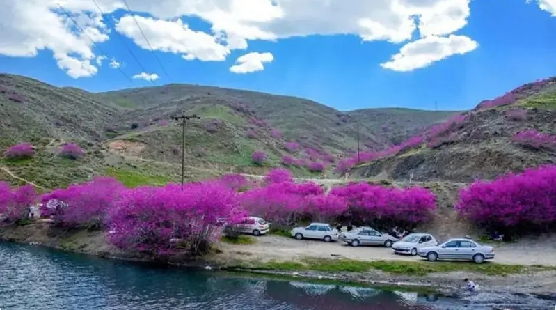 دره ارغوان مشهد