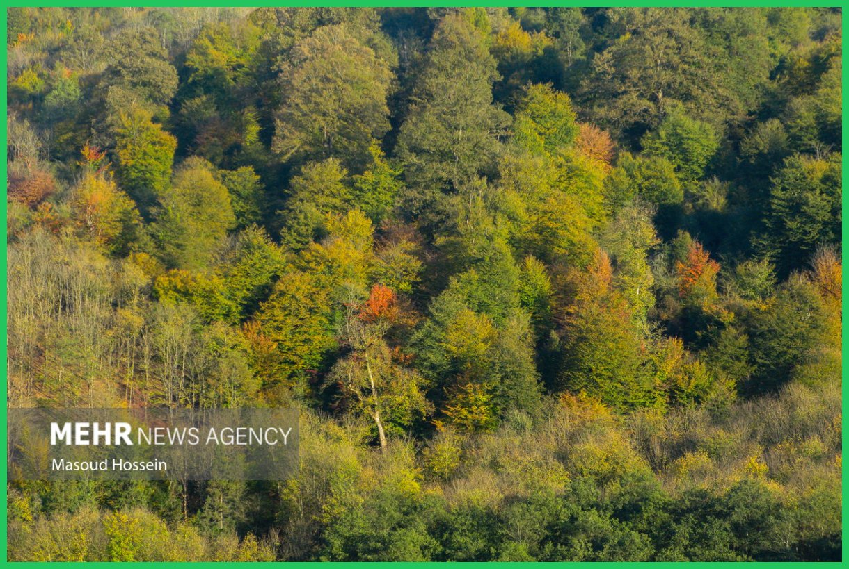 پاییز سوادکوه