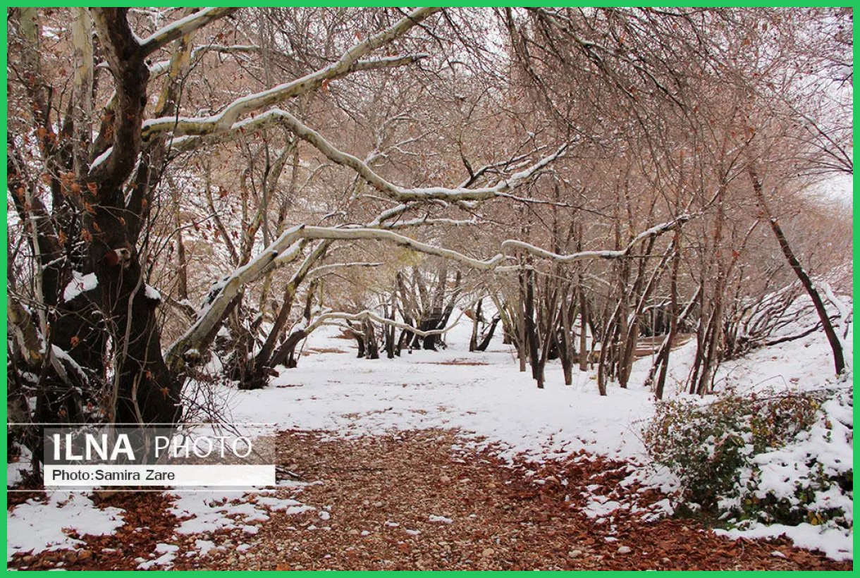 طبیعت برفی روستای قلات