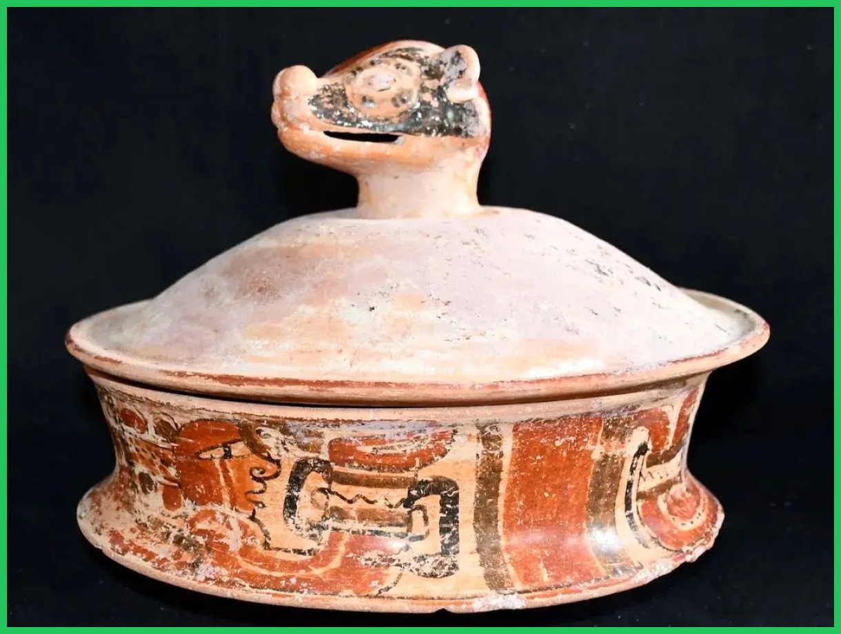 گنجینه ۱۷۰۰ ساله از دل جنگل‌های آمریکا بیرون آمد